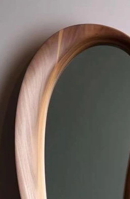 Dino Mirror
